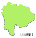 山梨県第2区